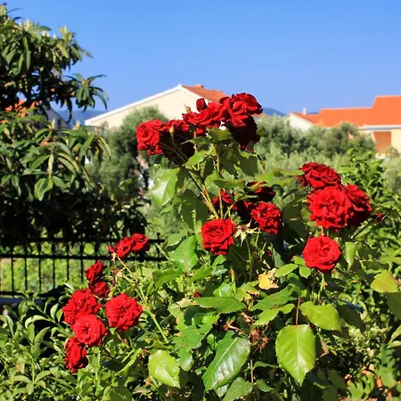 With Parking Space Orebic, Peljesac - 10157