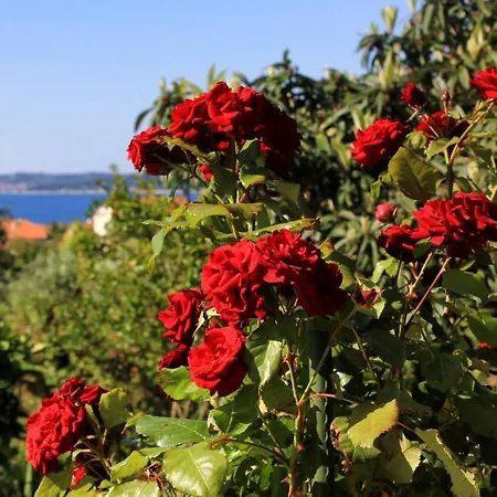 Апартаменты With Parking Space Orebic, Peljesac - 10157 Оребич