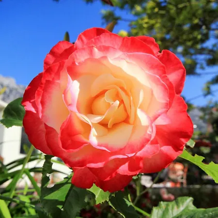 With Parking Space Orebic, Peljesac - 10157 Апартаменты