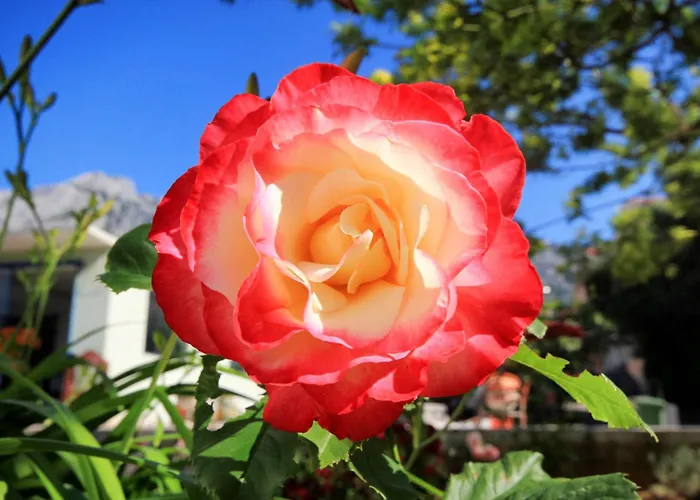 With Parking Space Orebic, Peljesac - 10157 Daire