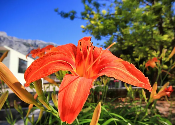 With Parking Space Orebic, Peljesac - 10157 Daire *